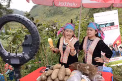 Farmers livestream on TikTok to sell agricultural products in Lai Chau province. (Photo: VietnamPlus)