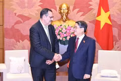 National Assembly Vice Chairman Nguyen Duc Hai (R) welcomes Chairman of the Algeria-Vietnam Friendship Parliamentarians’ Group Salah Djegloul (Photo: VNA)