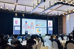 At the 2nd Indonesia‑Mekong Basin Connect Forum, hosted by the Indonesian Ministry of Foreign Affairs on October 16. (Photo: VNA)