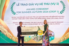 Christie Getman, SNV Country Director, hands over the reward to a company. (Photo: VNA)
