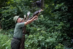 (Photo: Jungle Boss)