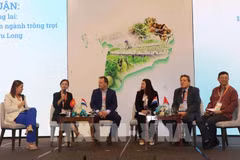 Delegates discuss innovative approaches to developing crop production in the Mekong Delta. (Photo: VNA)