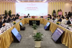 The Meet Japan event in Da Nang city on July 4 (Photo: VNA)