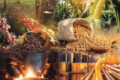 Vietnam’s commodity derivatives market has gradually taken shape and become a tool helping businesses manage risks arising from price fluctuations. (Photo: doanhnghiephoinhap.vn)