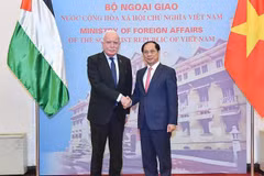 Deputy Prime Minister and Minister of Foreign Affairs Bui Thanh Son (right) receives Special Envoy of the President and Advisor for International Affairs of Palestine Riad Malki in Hanoi on December 25. (Photo: VNA)
