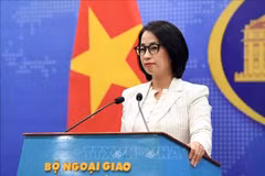Foreign Ministry spokesperson Pham Thu Hang speaks at a press conference in Hanoi on November 6. (Photo: VNA)