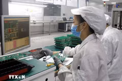 Workers of a semiconductor enterprise (Photo: VNA) 