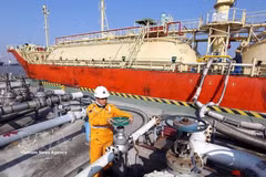 Belgium's Rent A Port Joint Stock Company has invested in building the infrastructure of Dinh Vu Industrial Park in Hai Phong city, now the DEEP C Industrial Complex. (Photo: VNA)