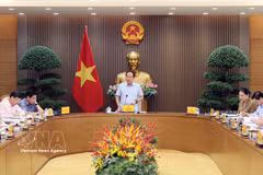 Deputy Prime Minister Le Tien Chau speaks at the meeting. (Photo: VNA)