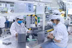 Workers produce electronic components at Star Engineers Vietnam Company, Binh Xuyen I Industrial Park in Phu Tho province (Photo: VNA) 