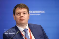 Russian Deputy Minister of Economic Development Vladimir Evgenievich Ilyichev (Photo: VNA)