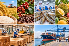 Agricultural sector targets 18 billion USD in Q4 exports