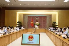 An overview of the meeting (Photo: chinhphu.vn)
