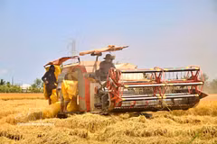 Reducing emissions is not only essential for tackling climate change but also brings tangible benefits to farmers and businesses. (Photo: VNA)