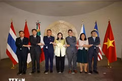 ASEAN Ambassadors to Mexico take a group photo with Mexican Undersecretary of Foreign Affairs María Teresa Mercado (centre) (Photo: VNA)