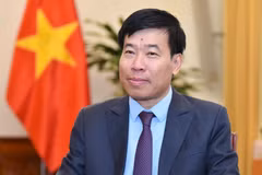 Deputy Foreign Minister Nguyen Manh Cuong (Photo pblished by VNA)
