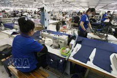Workers at Nha Be garment corporation in Vi Thanh industrial cluster, Can Tho city, Vietnam, produce garments for export. (Photo: VNA)