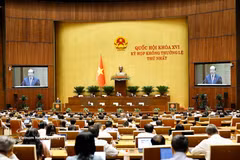 A plenary discussion of the 16th National Assembly's first extraordinary session (Photo: VNA)