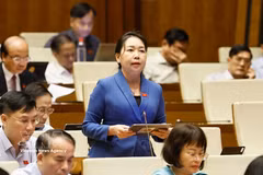 Deputy Ly Tiet Hanh from Gia Lai province speaks at the National Assembly sitting on August 21. (Photo: VNA)