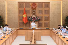 Deputy Prime Minister Ho Duc Phoc chairs the Steering Committee for Price Management's meeting on August 5 (Photo: VNA)