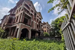 Villas left unoccupied for years. (Photo: diendandoanhnghiep.vn)