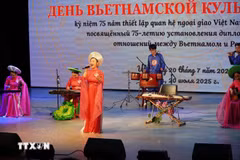 An art performance at the programme (Photo: VNA)