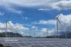 Khanh Hoa province possesses significant advantages for renewable energy projects and new energy sectors. (Photo: VNA)