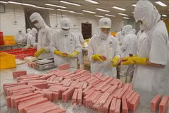 Production at Hong Ngoc seafood processing facility in Dak Lak (Photo: VNA)