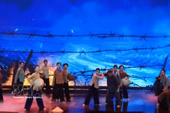 A performance at the art programme (Photo: VNA)