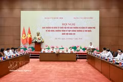 Prime Minister Le Minh Hung, who is Secretary of the Government Party Committee, speaks at the meeting in Hanoi on July 24. (Photo: VNA)