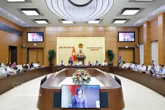 NA Vice Chairwoman Nguyen Thi Hong speaks at the session on July 14. (Photo: VNA)