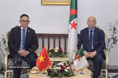 FLN Secretary-General Abdelkrim Benmbarek (right) and Ambassador Tran Quoc Khanh at the working session on July 13 (Photo: VNA)