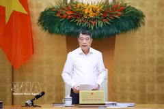 Prime Minister Le Minh Hung speaks at the meeting (Photo: VNA)