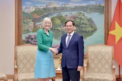 Deputy PM and Minister of Foreign Affairs Bui Thanh Son (R) and Australian Ambassador Gillian Bird (Photo: VNA)