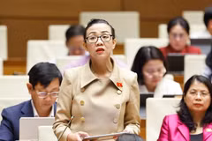 National Assembly deputy Trinh Thi Tu Anh from Lam Dong province. (Photo: VNA)