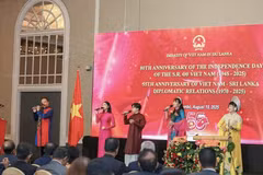 A performance at the event (Photo: phapluat.tuoitrethudo.vn)
