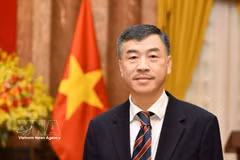 Vietnamese Ambassador to the Czech Republic Duong Hoai Nam (Photo: VNA)