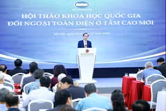 Minister of Foreign Affairs Le Hoai Trung speaks at the conference. (Photo: VNA)