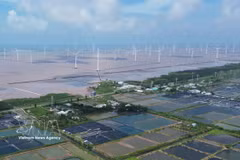 Wind turbines in Dong Hai commune, Ca Mau province (Photo: VNA)