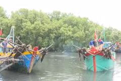 Dong Thap has completed registration for its fleet of 1,505 fishing vessels. (Illustrative photo: VNA)