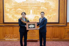 Vice Chairman of Hue city People's Committee Tran Huu Thuy Giang presents the title "Honorary Citizen of Hue City" to General Director of SMC Hue Co., Ltd. Kang Bong Jun. (Photo: VNA)