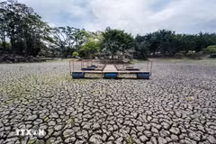 As El Niño strengthens, the risks of heatwaves, drought and reduced rainfall increase. (Illustrative image: VNA)