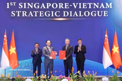 Vietnam, Singapore pursue resilient shared future