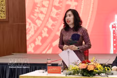 Deputy Minister of Foreign Affairs Le Thi Thu Hang (Photo: VNA)