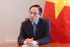Minister of Foreign Affairs Le Hoai Trung (Photo: VNA)