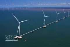 A perspective rendering of the Hoa Binh 2-1 and Hoa Binh 4 wind power plants in Vinh Hau commune, Ca Mau province. (Photo: VNA)