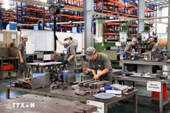 A factory of Toan Cau Mechanical Engineering Company in Giang Dien Industrial Park, Dong Nai city (Photo: VNA)