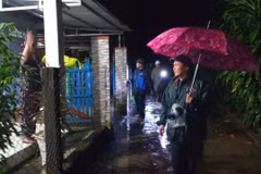 Vice Chairman of the People's Committee of Da Nang Tran Nam Hung inspects flood-hit areas in Tra My commune (Photo: VNA)