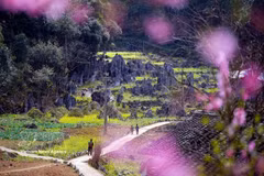 The Dong Van Karst Plateau is a special heritage landscape where dramatic limestone mountains, local communities, and nature together define the unique character of Vietnam's northernmost region. (Photo: VNA)