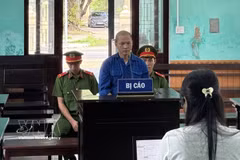 Defendant Ho Van Phuong Tam at the trial. (Photo: VNA)